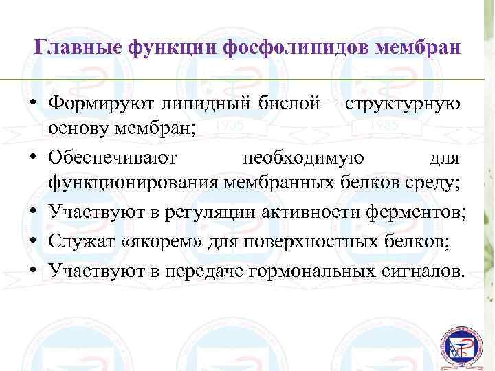 Главные функции фосфолипидов мембран • Формируют липидный бислой – структурную основу мембран; • Обеспечивают