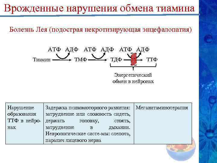 Врожденные нарушения обмена тиамина Болезнь Лея (подострая некротизирующая энцефалопатия) АТФ АДФ Тиамин ТМФ ТДФ