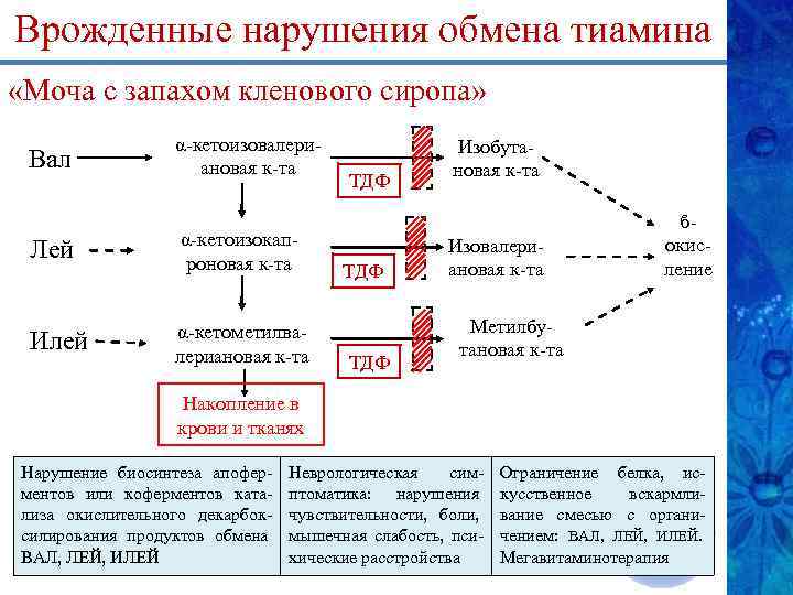 Врожденные нарушения обмена тиамина «Моча с запахом кленового сиропа» Вал α-кетоизовалериановая к-та Лей α-кетоизокапроновая