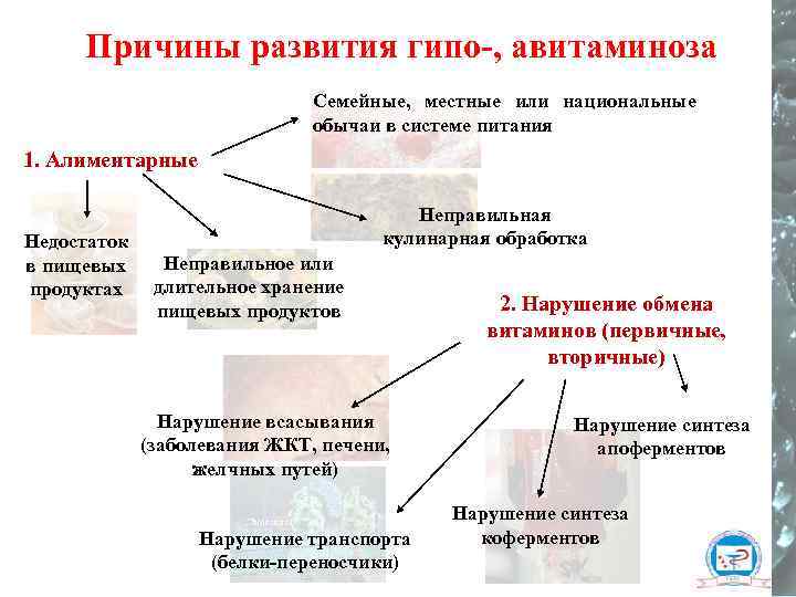 Причины развития гипо-, авитаминоза Семейные, местные или национальные обычаи в системе питания 1. Алиментарные
