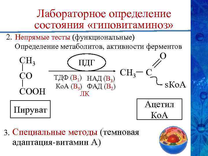 Лабораторное определение состояния «гиповитаминоз» 2. Непрямые тесты (функциональные) Определение метаболитов, активности ферментов СН 3