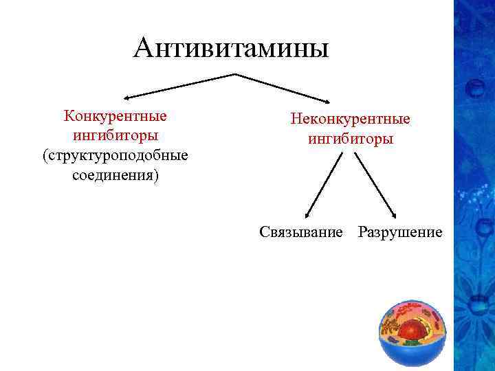 Антивитамины Конкурентные ингибиторы (структуроподобные соединения) Неконкурентные ингибиторы Связывание Разрушение 