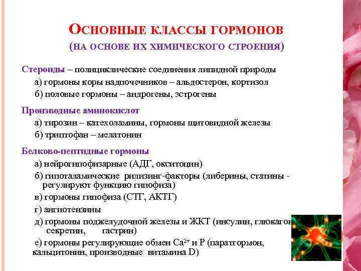 ОСНОВНЫЕ КЛАССЫ ГОРМОНОВ (НА ОСНОВЕ ИХ ХИМИЧЕСКОГО СТРОЕНИЯ) Стероиды – полициклические соединения липидной природы
