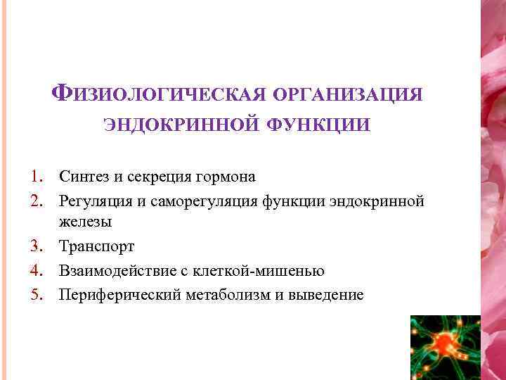 ФИЗИОЛОГИЧЕСКАЯ ОРГАНИЗАЦИЯ ЭНДОКРИННОЙ ФУНКЦИИ 1. Синтез и секреция гормона 2. Регуляция и саморегуляция функции