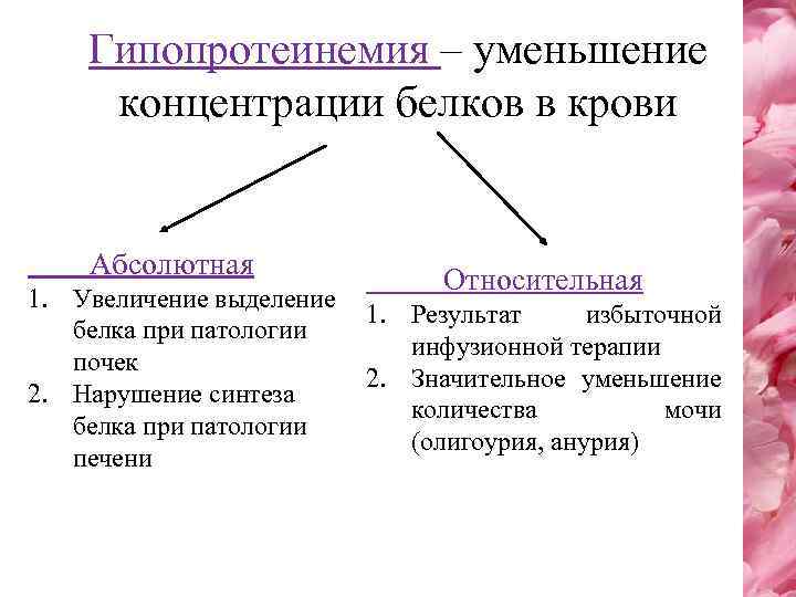 Гипопротеинемия – уменьшение концентрации белков в крови Абсолютная 1. Увеличение выделение белка при патологии