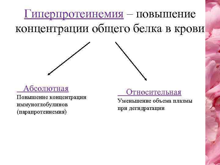 Гиперпротеинемия – повышение концентрации общего белка в крови Абсолютная Повышение концентрации иммуноглобулинов (парапротеинемия) Относительная