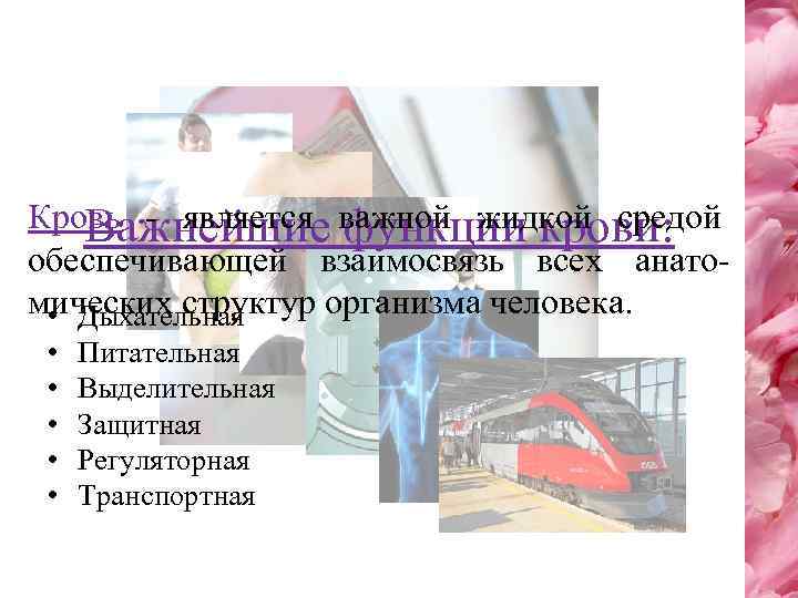 Кровь - является важной жидкой средой Важнейшие функции крови: обеспечивающей взаимосвязь всех анатомических структур