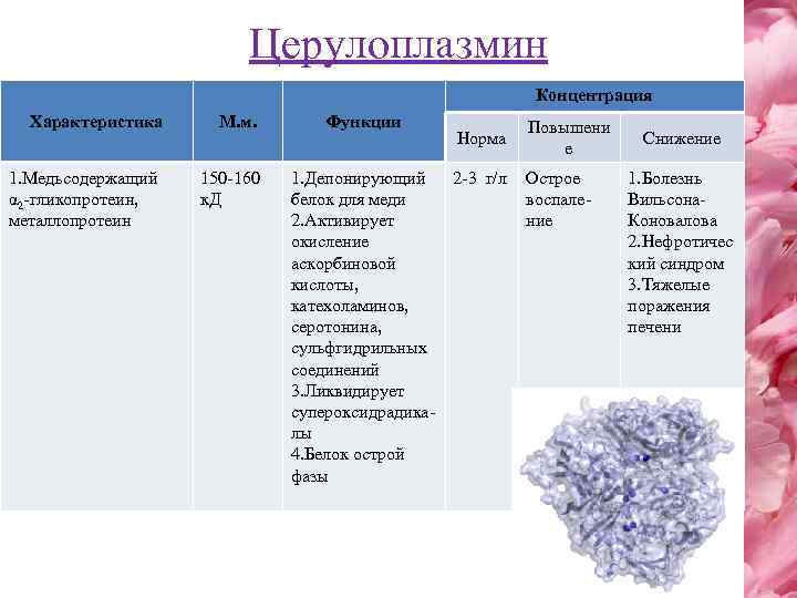 Церулоплазмин Концентрация Характеристика М. м. 1. Медьсодержащий α 2 -гликопротеин, металлопротеин 150 -160 к.