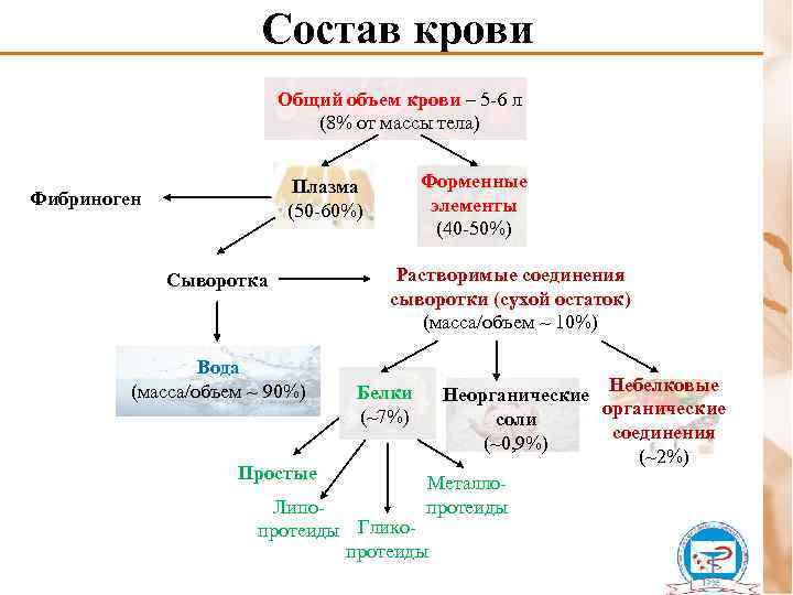 Схема свертывания крови биохимия