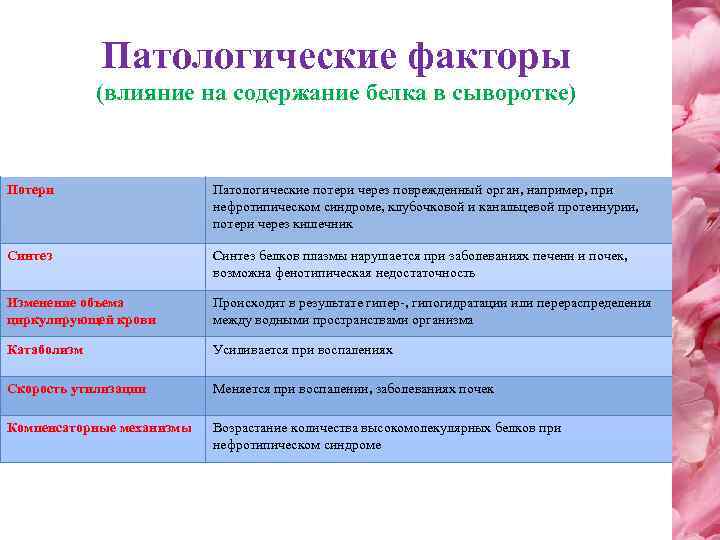 Патологические факторы (влияние на содержание белка в сыворотке) Потери Патологические потери через поврежденный орган,