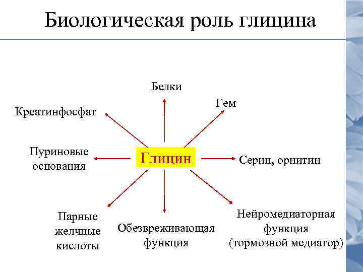 Биологическая роль глицина Белки Гем Креатинфосфат Пуриновые основания Парные желчные кислоты Глицин Обезвреживающая функция