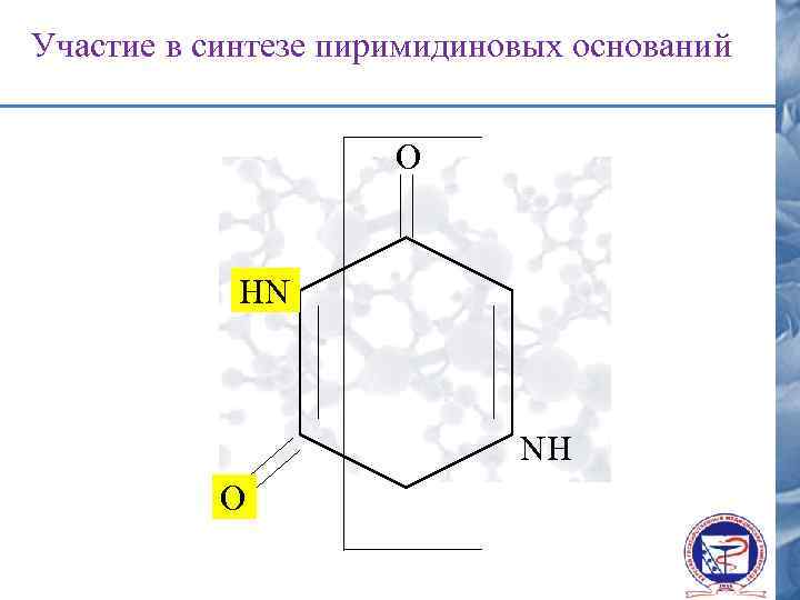 Участие в синтезе пиримидиновых оснований О HN NH О 