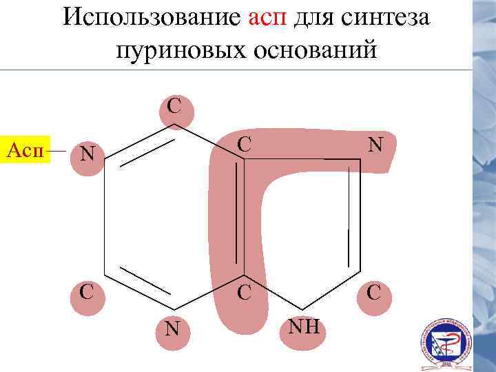 Использование асп для синтеза пуриновых оснований С Асп N С С С N NH