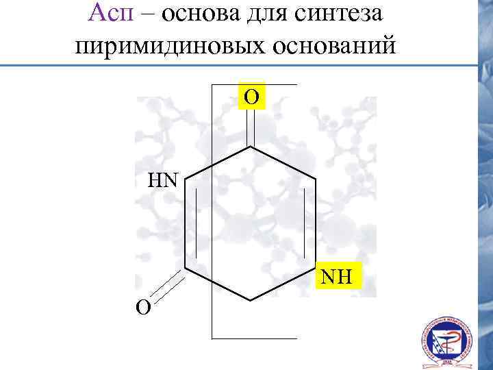 Асп – основа для синтеза пиримидиновых оснований О HN NH О 