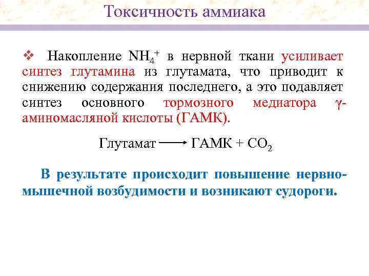 Токсичность аммиака v Накопление NH 4+ в нервной ткани усиливает синтез глутамина из глутамата,