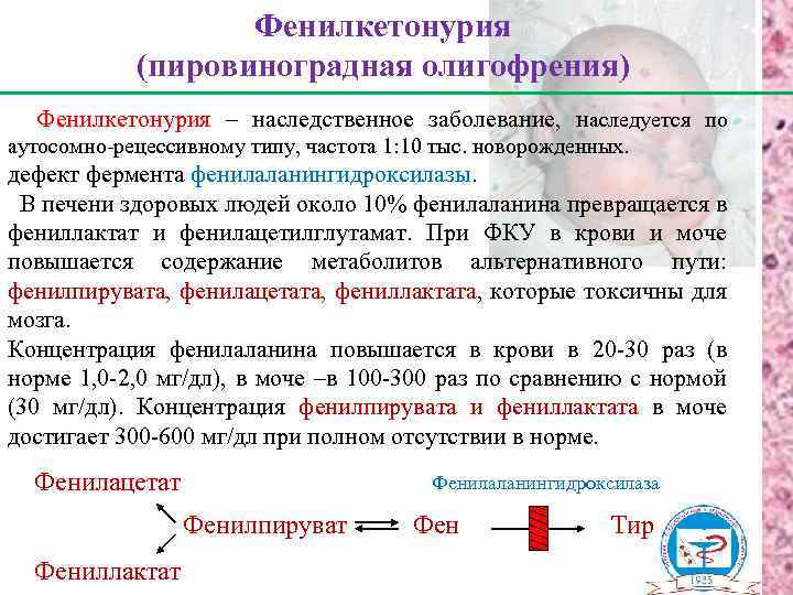 Фенилкетонурия (пировиноградная олигофрения) Фенилкетонурия – наследственное заболевание, наследуется по аутосомно-рецессивному типу, частота 1: 10