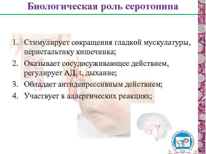 Биологическая роль серотонина 1. Стимулирует сокращения гладкой мускулатуры, перистальтику кишечника; 2. Оказывает сосудосуживающее действием,