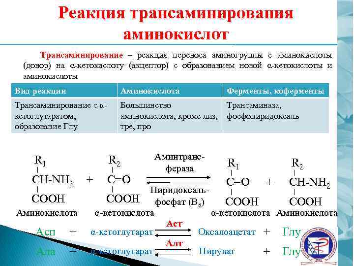 Реакция трансаминирования аминокислот Трансаминирование – реакция переноса аминогруппы с аминокислоты (донор) на α-кетокислоту (акцептор)