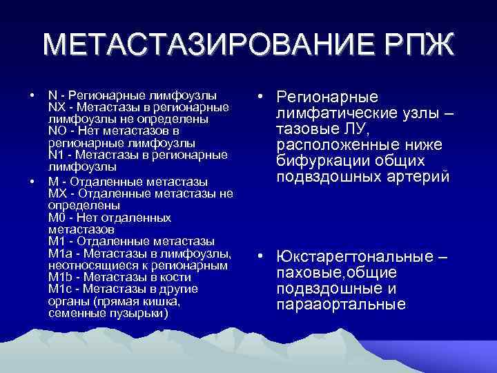 МЕТАСТАЗИРОВАНИЕ РПЖ • • N Регионарные лимфоузлы NX Метастазы в регионарные лимфоузлы не определены