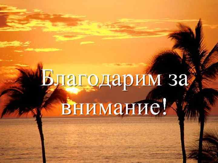 Благодарим за внимание! 