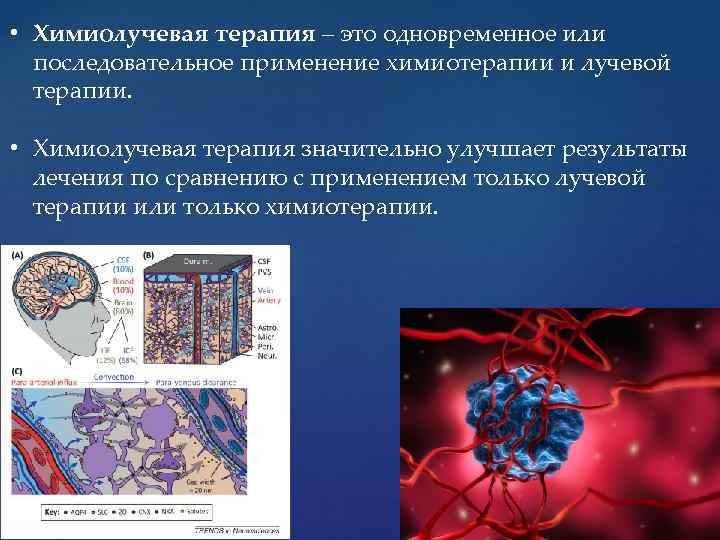  • Химиолучевая терапия – это одновременное или последовательное применение химиотерапии и лучевой терапии.