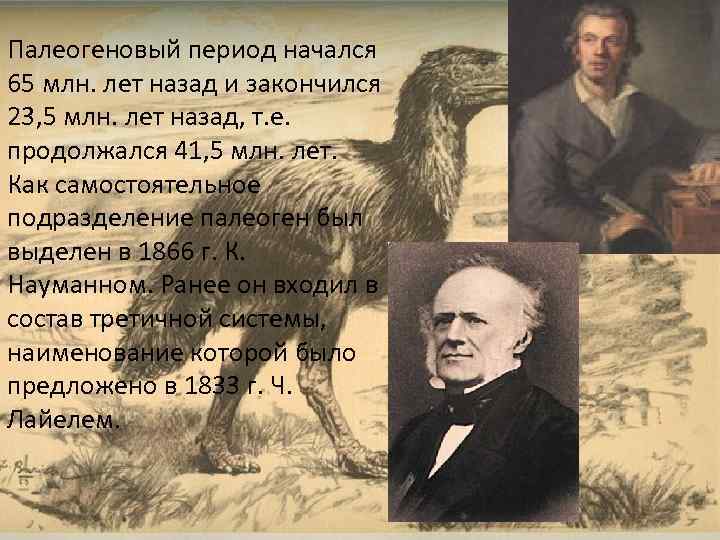 Палеогеновый период начался 65 млн. лет назад и закончился 23, 5 млн. лет назад,