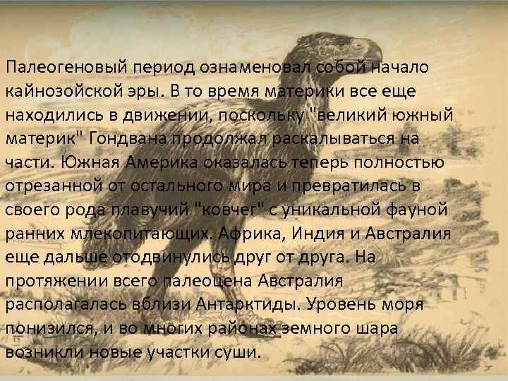 Палеогеновый период ознаменовал собой начало кайнозойской эры. В то время материки все еще находились