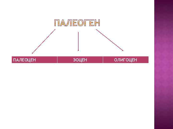 ПАЛЕОЦЕН ЭОЦЕН ОЛИГОЦЕН 