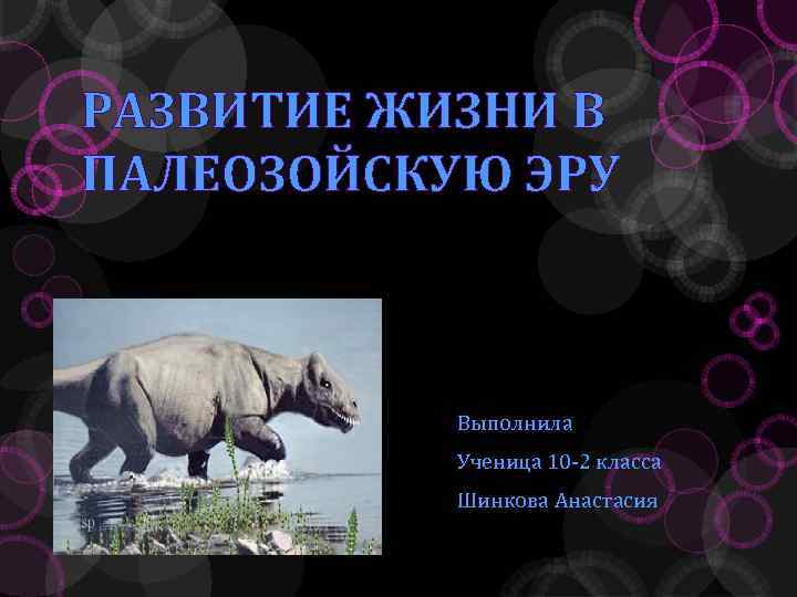 РАЗВИТИЕ ЖИЗНИ В ПАЛЕОЗОЙСКУЮ ЭРУ Выполнила Ученица 10 -2 класса Шинкова Анастасия 