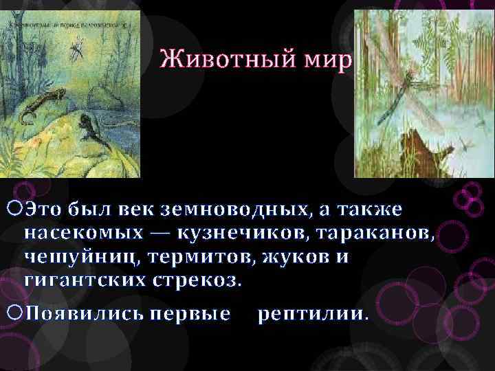 Животный мир Это был век земноводных, а также насекомых — кузнечиков, тараканов, чешуйниц, термитов,
