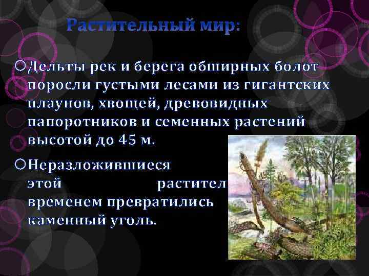 Растительный мир: Дельты рек и берега обширных болот поросли густыми лесами из гигантских плаунов,