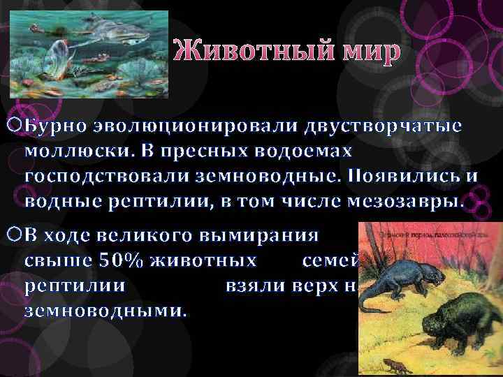 Животный мир Бурно эволюционировали двустворчатые моллюски. В пресных водоемах господствовали земноводные. Появились и водные