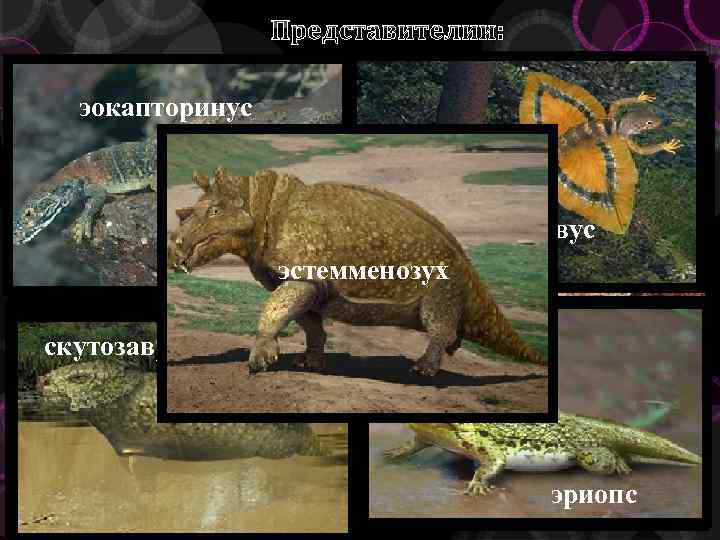 Представителии: лантанозух эокапторинус иностранцевия двинозавр целурозавравус диметродон эстемменозух скутозавр двиния ивантозавр каккопс эриопс мезенозавр