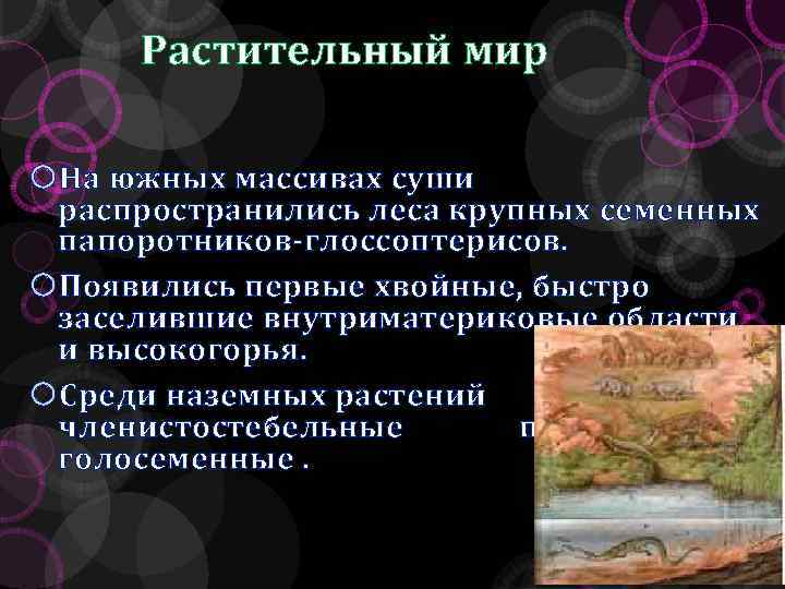 Растительный мир На южных массивах суши распространились леса крупных семенных папоротников-глоссоптерисов. Появились первые хвойные,