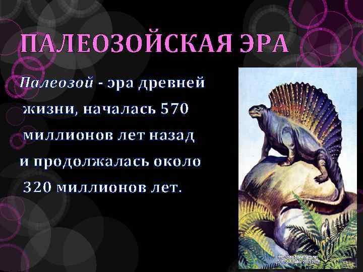 ПАЛЕОЗОЙСКАЯ ЭРА Палеозой - эра древней жизни, началась 570 миллионов лет назад и продолжалась