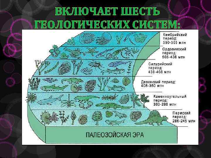 Геологическая эра палеозойская