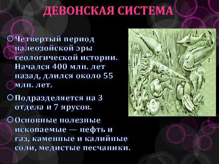ДЕВОНСКАЯ СИСТЕМА Четвертый период палеозойской эры геологической истории. Начался 400 млн. лет назад, длился