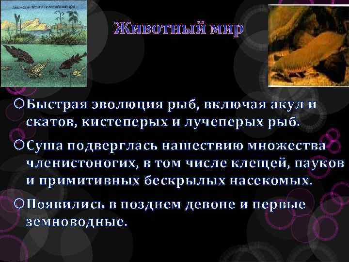 Животный мир Быстрая эволюция рыб, включая акул и скатов, кистеперых и лучеперых рыб. Суша