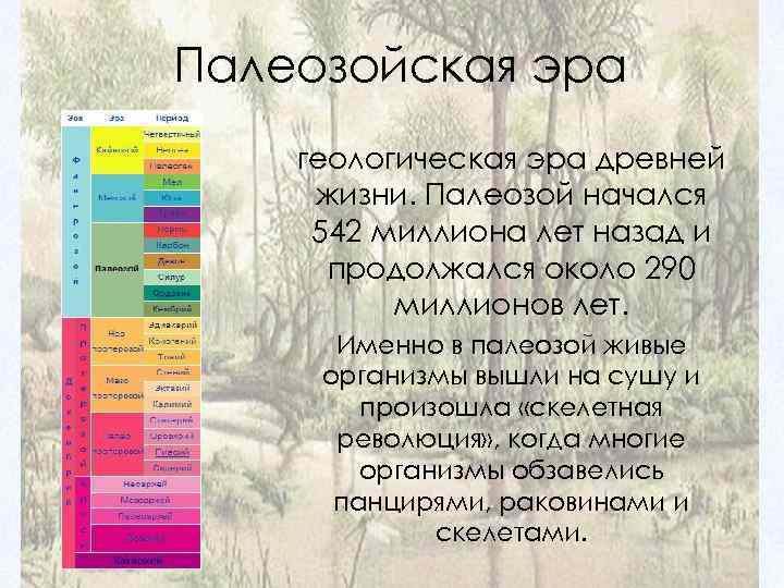 Палеозойская эра геологическая эра древней жизни. Палеозой начался 542 миллиона лет назад и продолжался