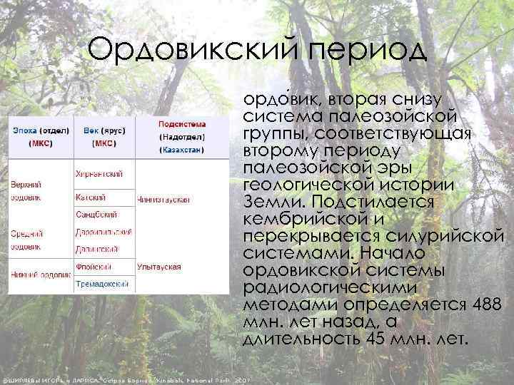 Ордовикский период ордо вик, вторая снизу система палеозойской группы, соответствующая второму периоду палеозойской эры