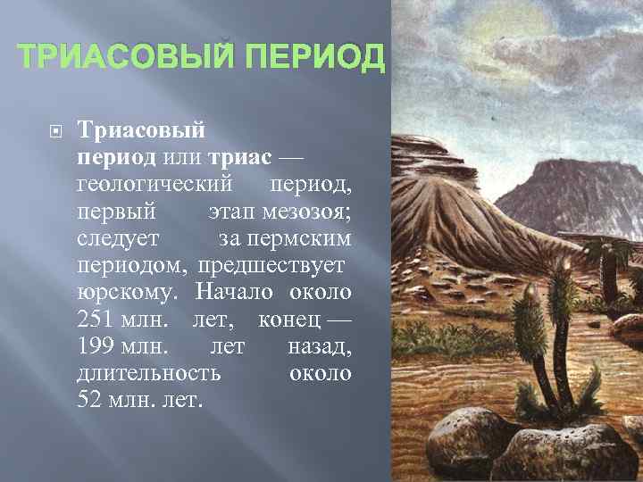 Зимний периуд или период. Триасовый период, или Триас (252-201 млн лет назад). Цератиты Триасовый период. Триасовый период неживая природа. Триасовый период Продолжительность.