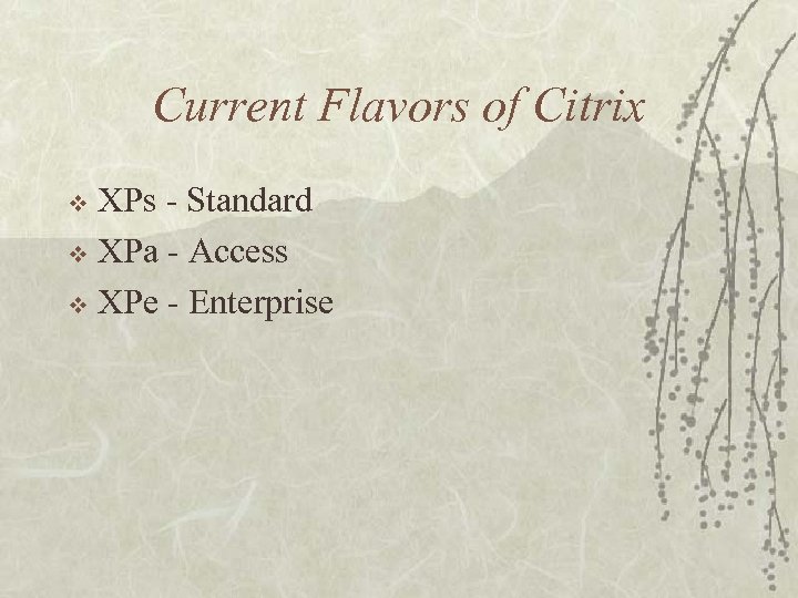 Current Flavors of Citrix XPs - Standard v XPa - Access v XPe -
