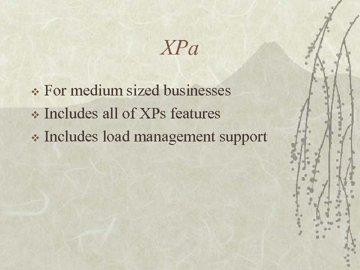 XPa For medium sized businesses v Includes all of XPs features v Includes load