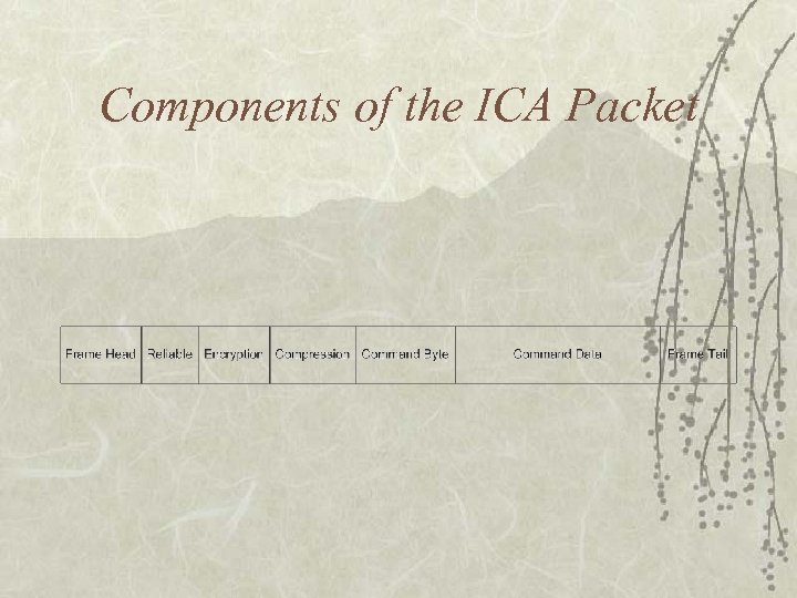 Components of the ICA Packet 