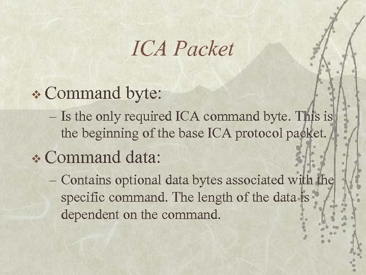ICA Packet v Command byte: – Is the only required ICA command byte. This