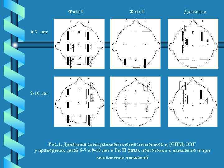 Фаза II Движение 6 -7 лет 9 -10 лет Рис. 1. Динамика спектральной плотности