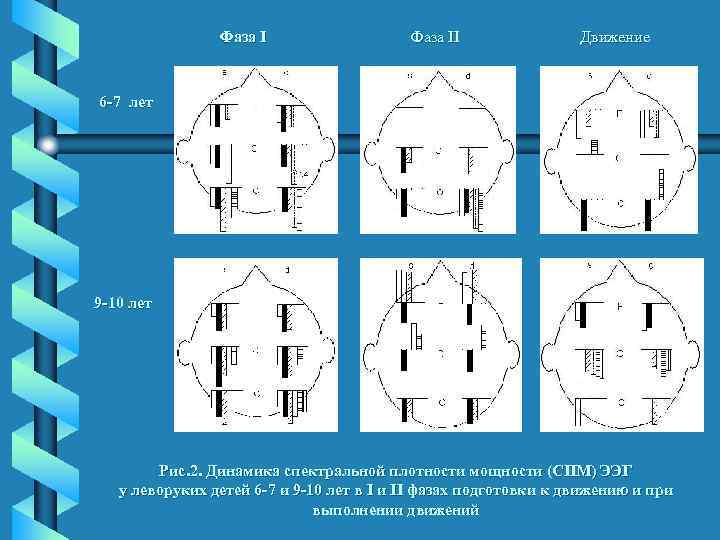 Фаза II Движение 6 -7 лет 9 -10 лет Рис. 2. Динамика спектральной плотности