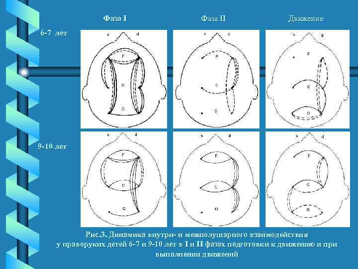 Фаза II Движение 6 -7 лет 9 -10 лет Рис. 3. Динамика внутри- и