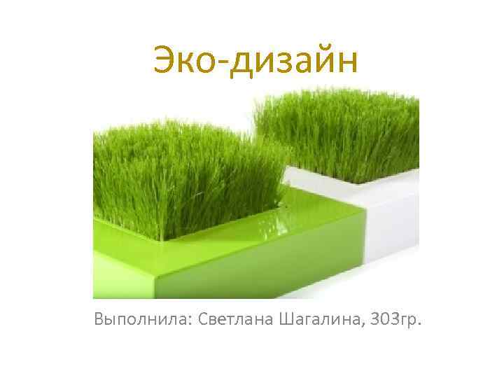 Эко-дизайн Выполнила: Светлана Шагалина, 303 гр. 