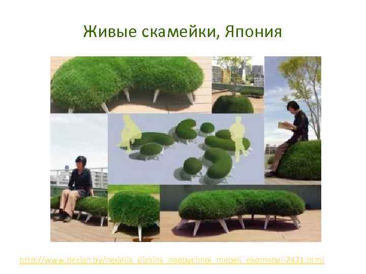 Живые скамейки, Япония http: //www. dezign. by/nedelia_dizaina_neobychnoi_mebeli_ekomebel-2431. html 